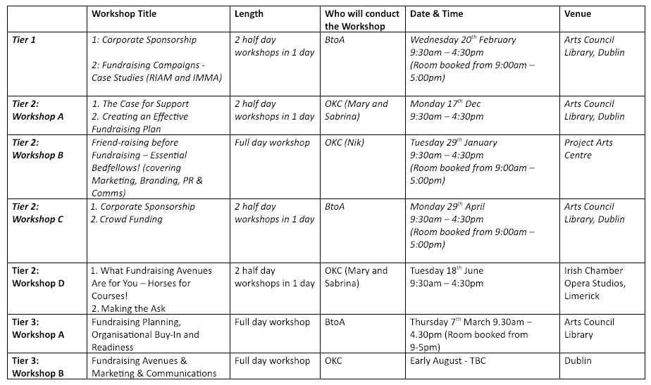 RAISE Workshops | Arts Council of Ireland